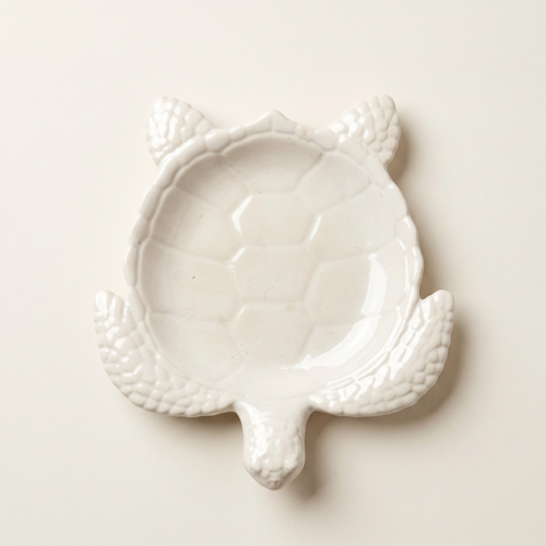 Conch Shell Bowl, Gypsum White 6"
